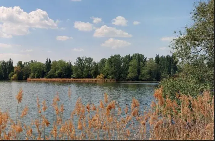 Prodej pozemku, Vlkava, 5955 m2