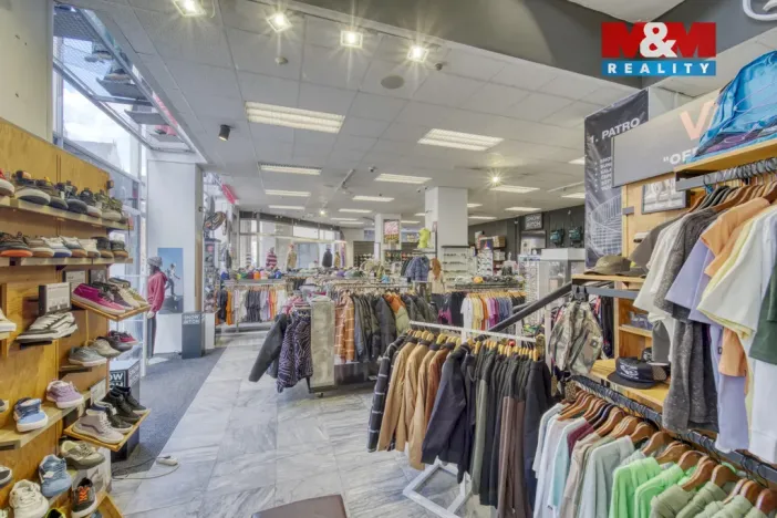Pronájem obchodního prostoru, Plzeň - Vnitřní Město, Zbrojnická, 598 m2