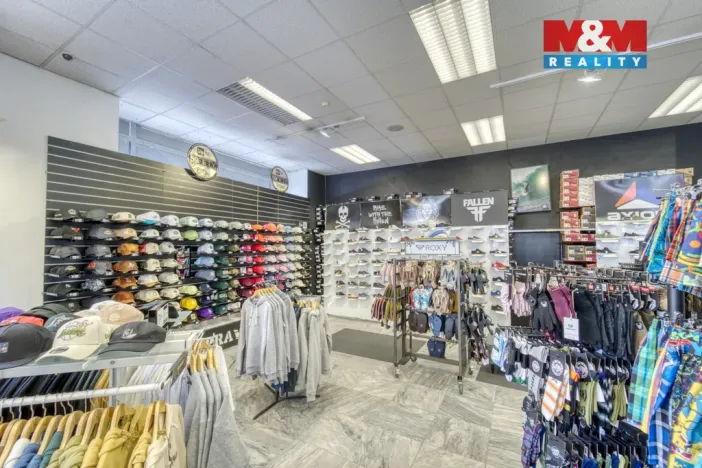 Pronájem obchodního prostoru, Plzeň - Vnitřní Město, Zbrojnická, 598 m2