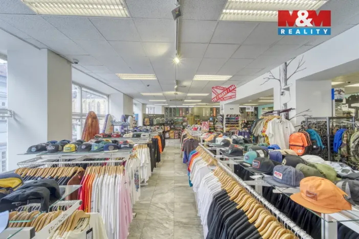 Pronájem obchodního prostoru, Plzeň - Vnitřní Město, Zbrojnická, 598 m2