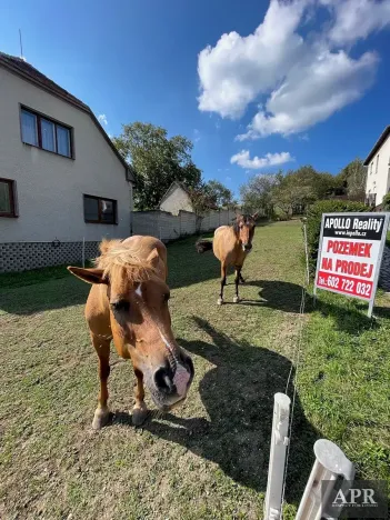 Prodej pozemku pro bydlení, Pašovice, 1279 m2