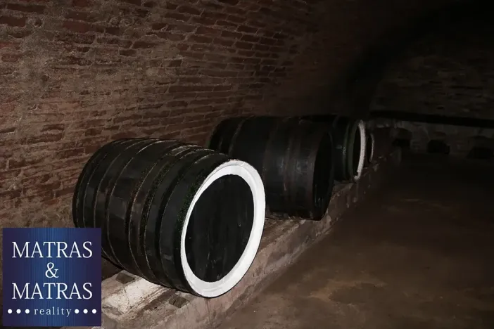 Prodej pozemku pro bydlení, Pavlov, Rudolfa Gajdoše, 59 m2