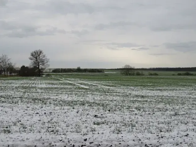 Dražba louky, Chotěšice, 11382 m2