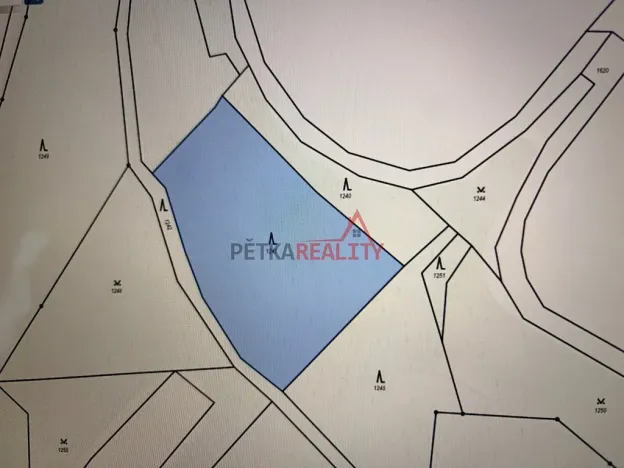 Prodej lesa, Polom, 4700 m2