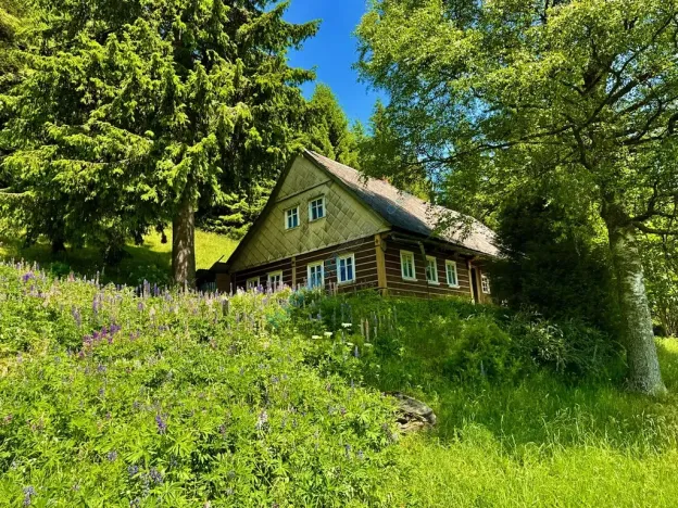 Prodej chalupy, Malá Úpa, 158 m2
