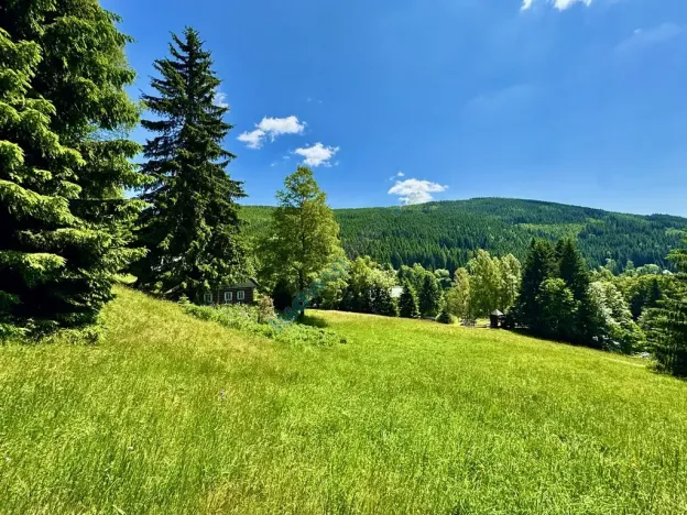 Prodej chalupy, Malá Úpa, 158 m2