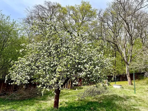 Pronájem rodinného domu, Velký Újezd, Za Obecním lesem, 80 m2