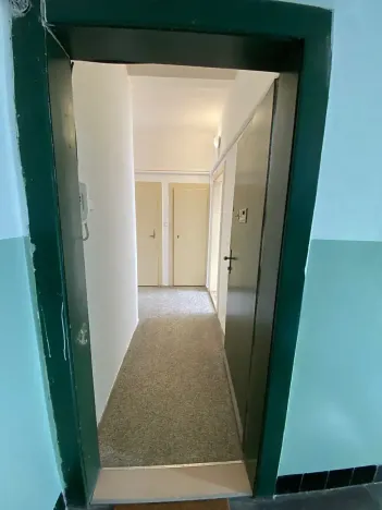 Pronájem bytu 1+1, Plzeň, Alešova, 50 m2