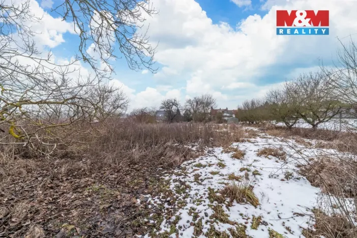 Prodej pozemku pro bydlení, Blovice - Vlčice, 2143 m2