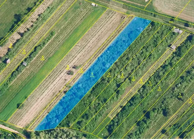 Prodej sadu/vinice, Nikolčice, 2568 m2