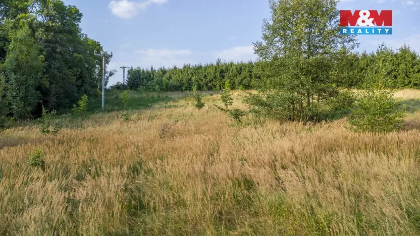 Prodej louky, Nový Bor - Janov, 5500 m2