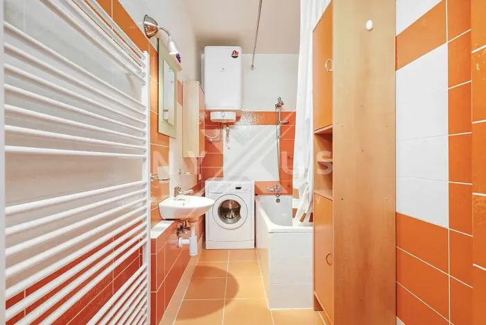 Pronájem bytu 2+kk, Břežany II, 47 m2