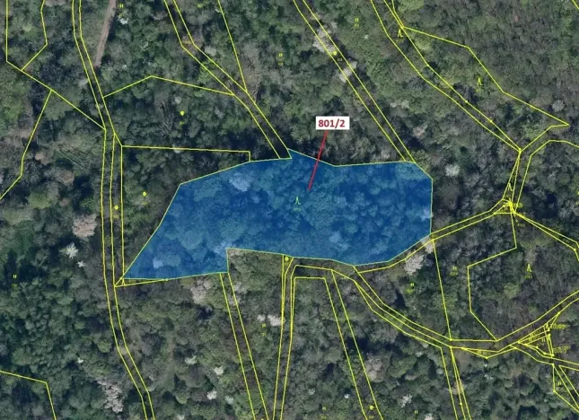 Dražba lesa, Zubrnice, 8765 m2