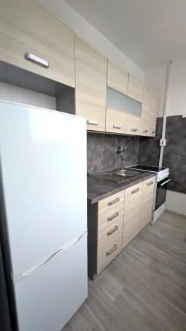 Pronájem bytu 1+1, Most, Růžová, 26 m2