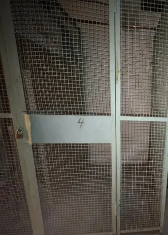 Pronájem bytu 1+kk, Sokolov, Mičurinova, 21 m2