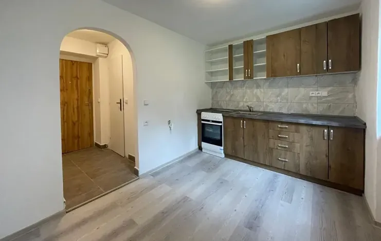 Pronájem bytu 1+1, Litvínov, Horská, 42 m2