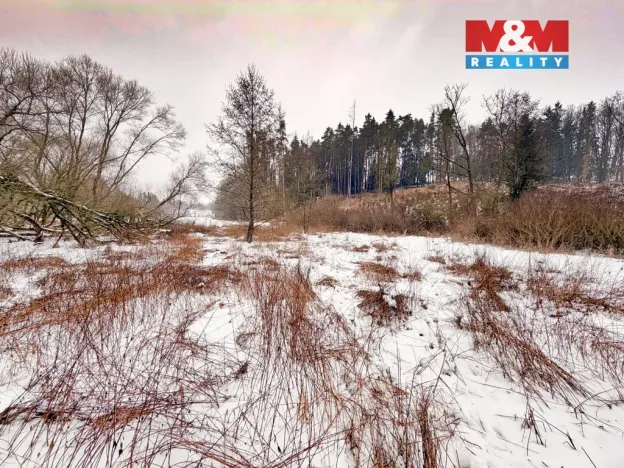 Prodej rybníku, Dolní Hořice - Pořín, 8552 m2