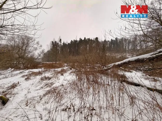 Prodej rybníku, Dolní Hořice - Pořín, 8552 m2