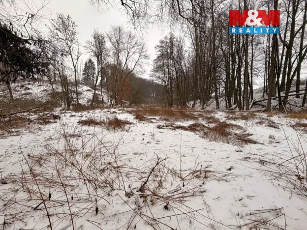 Prodej rybníku, Dolní Hořice - Pořín, 8552 m2