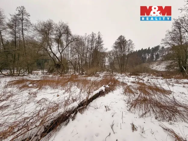 Prodej rybníku, Dolní Hořice - Pořín, 8552 m2