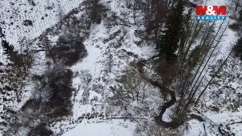 Prodej rybníku, Dolní Hořice - Pořín, 8552 m2