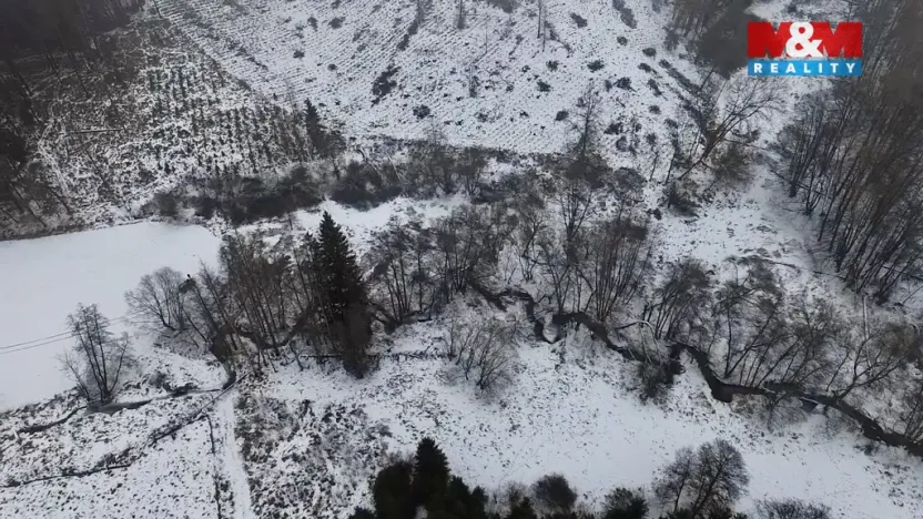 Prodej rybníku, Dolní Hořice - Pořín, 8552 m2