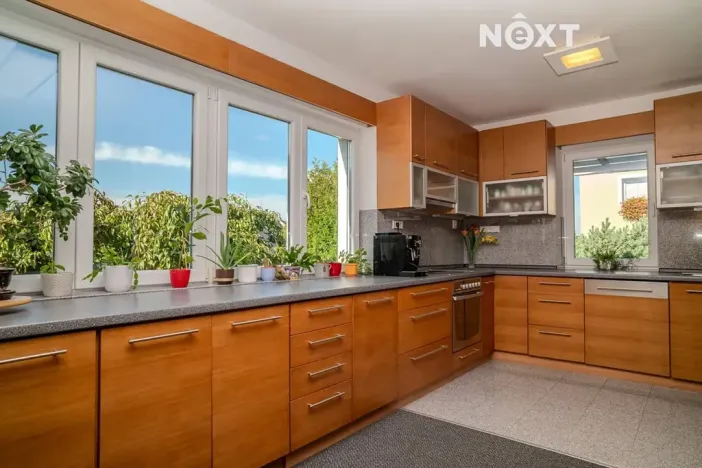 Prodej vícegeneračního domu, České Budějovice, Borovanská, 195 m2