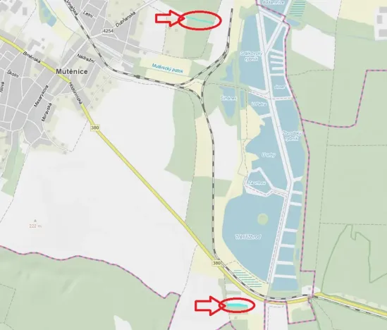 Prodej lesa, Mutěnice, 5100 m2