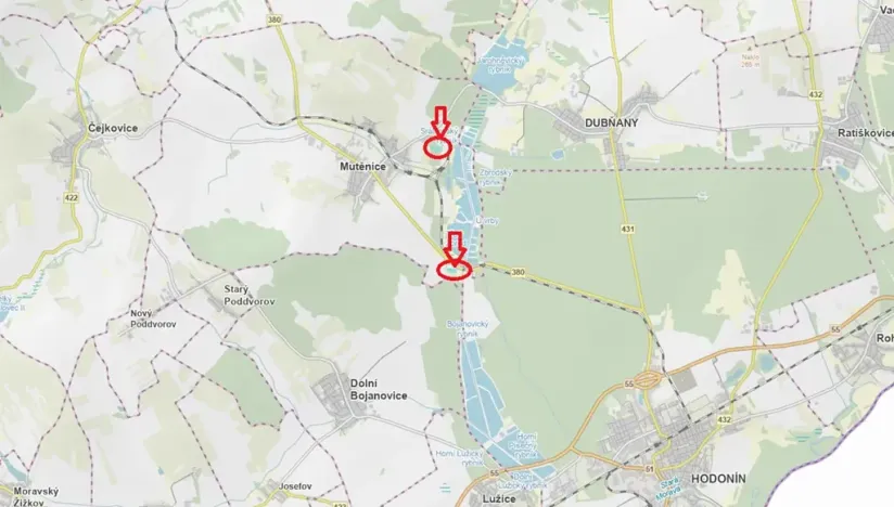 Prodej lesa, Mutěnice, 5100 m2