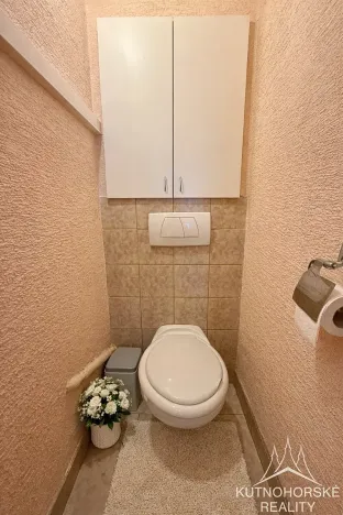 Pronájem bytu 3+kk, Čáslav, Družstevní, 51 m2