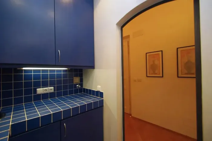 Pronájem bytu 2+1, Praha - Vinohrady, Anny Letenské, 54 m2