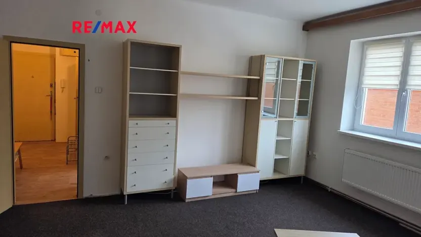 Pronájem bytu 2+1, Brno, Náplavka, 53 m2