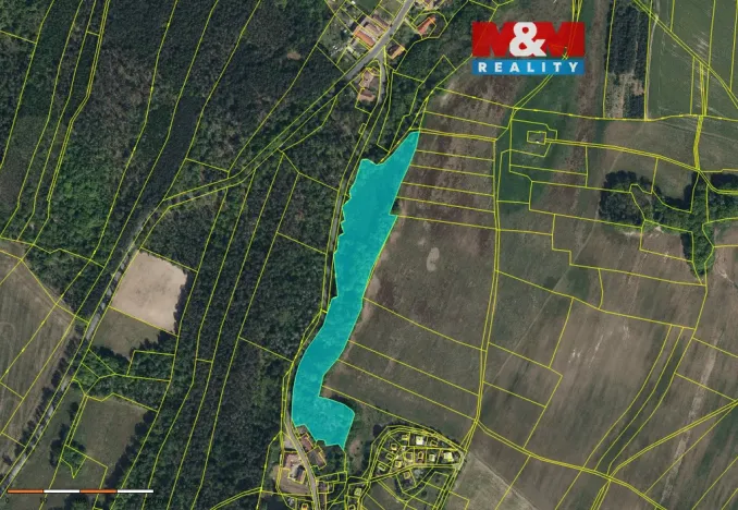 Prodej lesa, Jankovice - Seník, 21459 m2