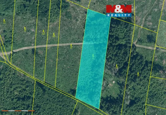 Prodej lesa, Kolinec - Buršice, 9917 m2