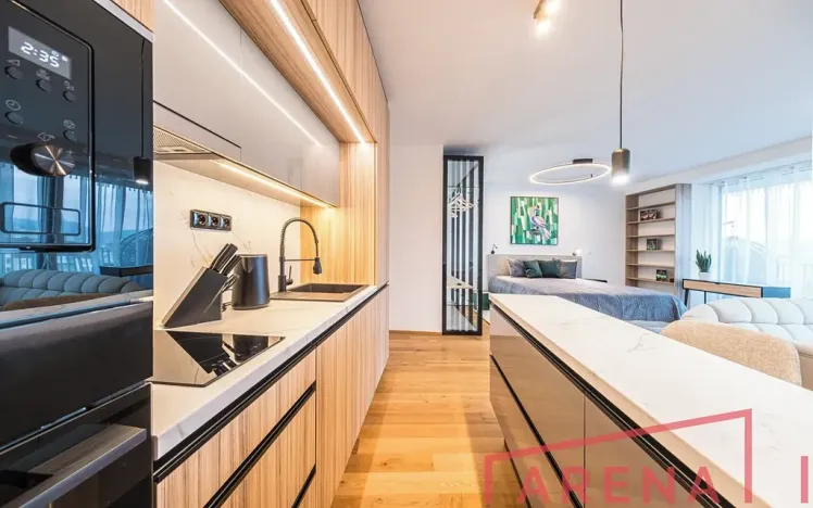 Pronájem bytu 1+kk, Brno, Nové sady, 54 m2