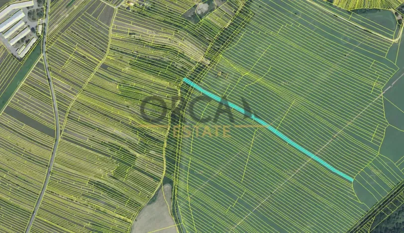 Prodej pole, Moravská Nová Ves, 13376 m2