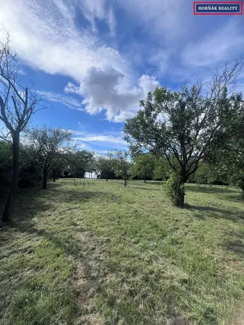 Prodej rodinného domu, Kožušice, 230 m2