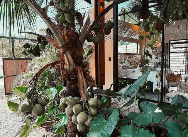 Prodej domu, Puerto Viejo, Hone Creek, Kostarika, 120 m2