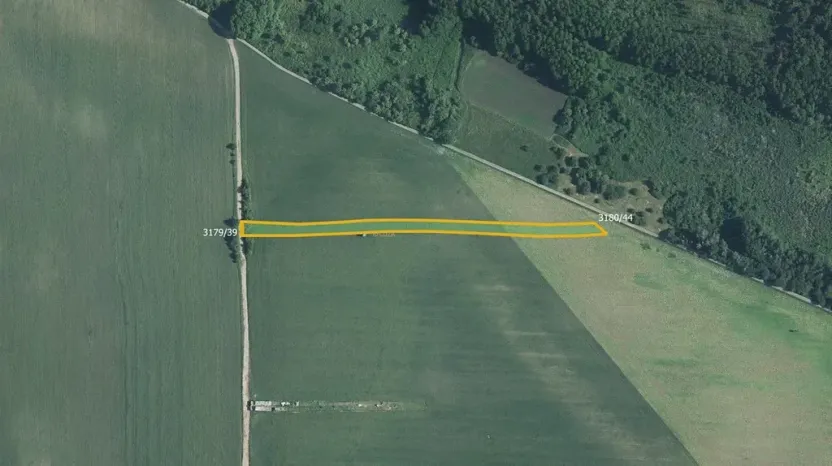 Prodej pole, Břeclav, 9807 m2