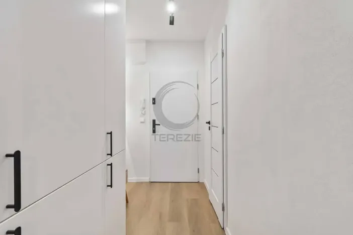 Prodej bytu 2+kk, Praha - Nusle, Plamínkové, 41 m2