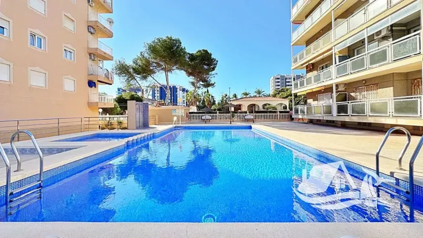 Prodej bytu 2+kk, Torrevieja, Španělsko, 41 m2