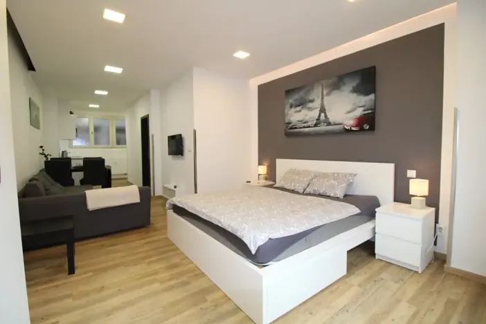 Pronájem bytu 1+kk, Praha - Nové Město, Opletalova, 35 m2