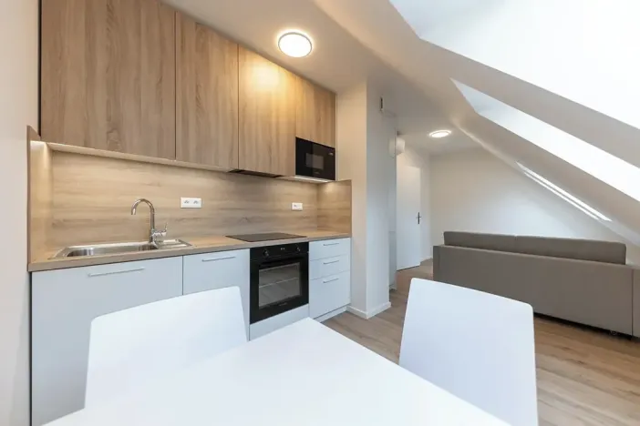 Pronájem bytu 1+kk, Praha - Bubeneč, Veletržní, 29 m2