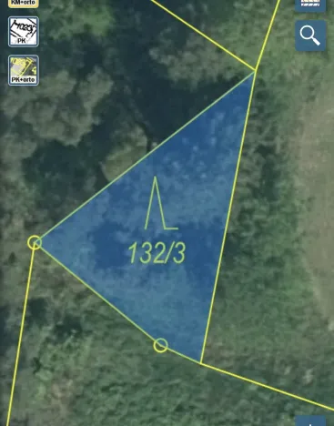 Prodej lesa, Čepřovice, 193 m2