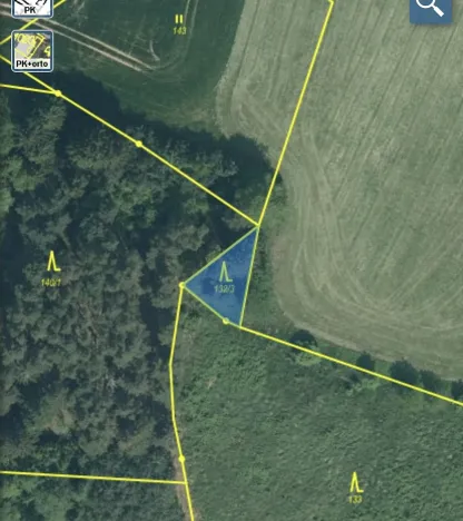 Prodej lesa, Čepřovice, 193 m2