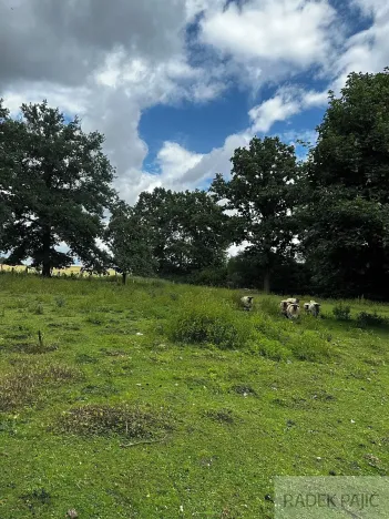 Prodej pozemku pro bydlení, Čížkov, 3589 m2