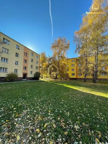 Prodej bytu 2+1, Ostrava, Adamusova, 49 m2