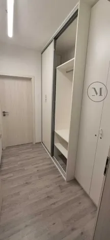 Pronájem bytu 1+kk, České Budějovice, Skuherského, 45 m2