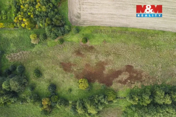 Prodej louky, Františkovy Lázně - Žírovice, 8900 m2