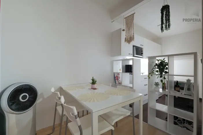 Prodej bytu 1+kk, Brno, U Leskavy, 34 m2